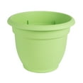 thumbnail image 2 of Bloem Ariana Self Watering Plastic Planter 16" Tequila Sunrise, 2 of 10