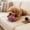 Purple, variant on Byujiro Colorful Plush Squeaky Dog Ball Toy with Tags, Soft Interactive Dog Toy with Bell, Durable for Chewing, Teething & Play, Suitable for Small to Medium Dogs