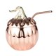thumbnail image 5 of Taza de acero inoxidable para jugo, sopa, café, bebida, calabaza, leche Copa con pajita, 5 of 9