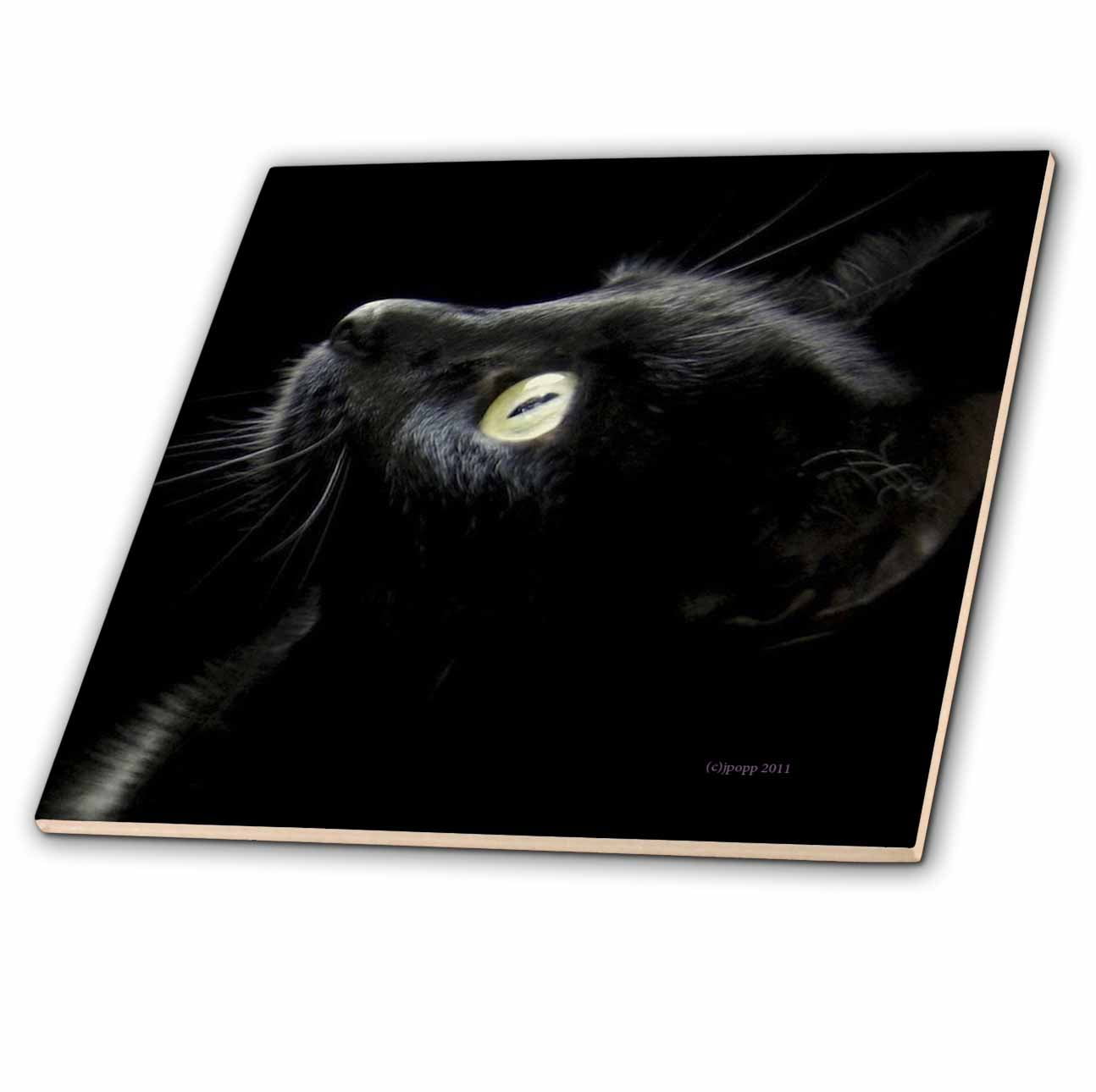 3dRose ct/_23822/_3 Black Cat Face Ceramic Tile 8-Inch