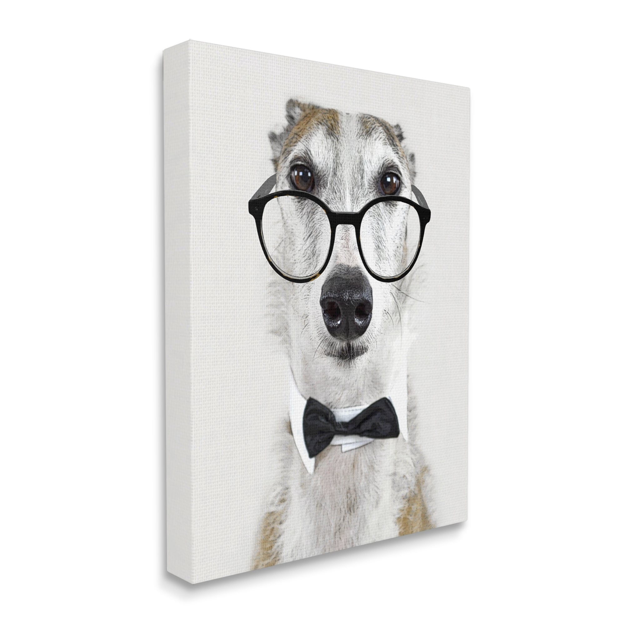 Stupell Funny Dog Formal Bowtie Glasses Animals & Insects Painting Gallery Wrapped Canvas Print Wall Art