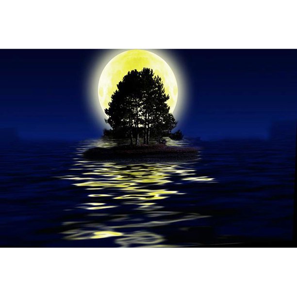 Taladro Diamante Pintura (DF3084) 5D DIY Luna Llena Paisaje Patrón Bordado (04) 40x50cm Hugtrwg Para estrenar