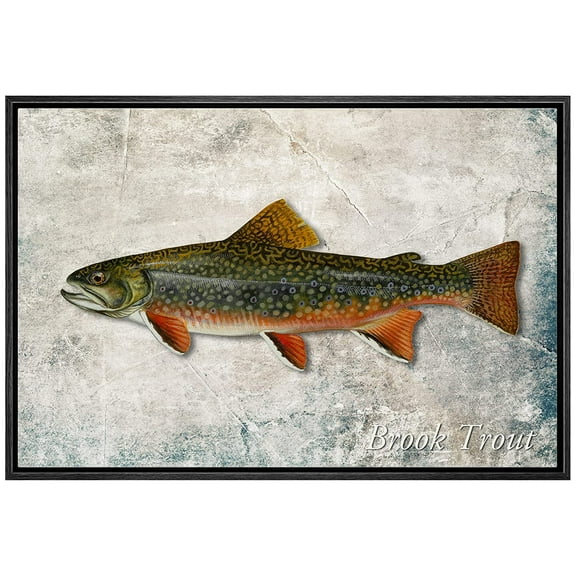 wall26 Framed Canvas Print Wall Art Trout Fish on Granite Background Marine Life Animals Digital Art Realism Nautical Scenic Colorful Ultra for Living Room, Bedroom, Office - 16"x24" Black