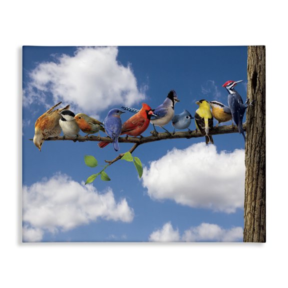 Stupell Industries Rustic Lodge Various Birds on Branch Canvas Art, 20 x 16, by Vincent Hie