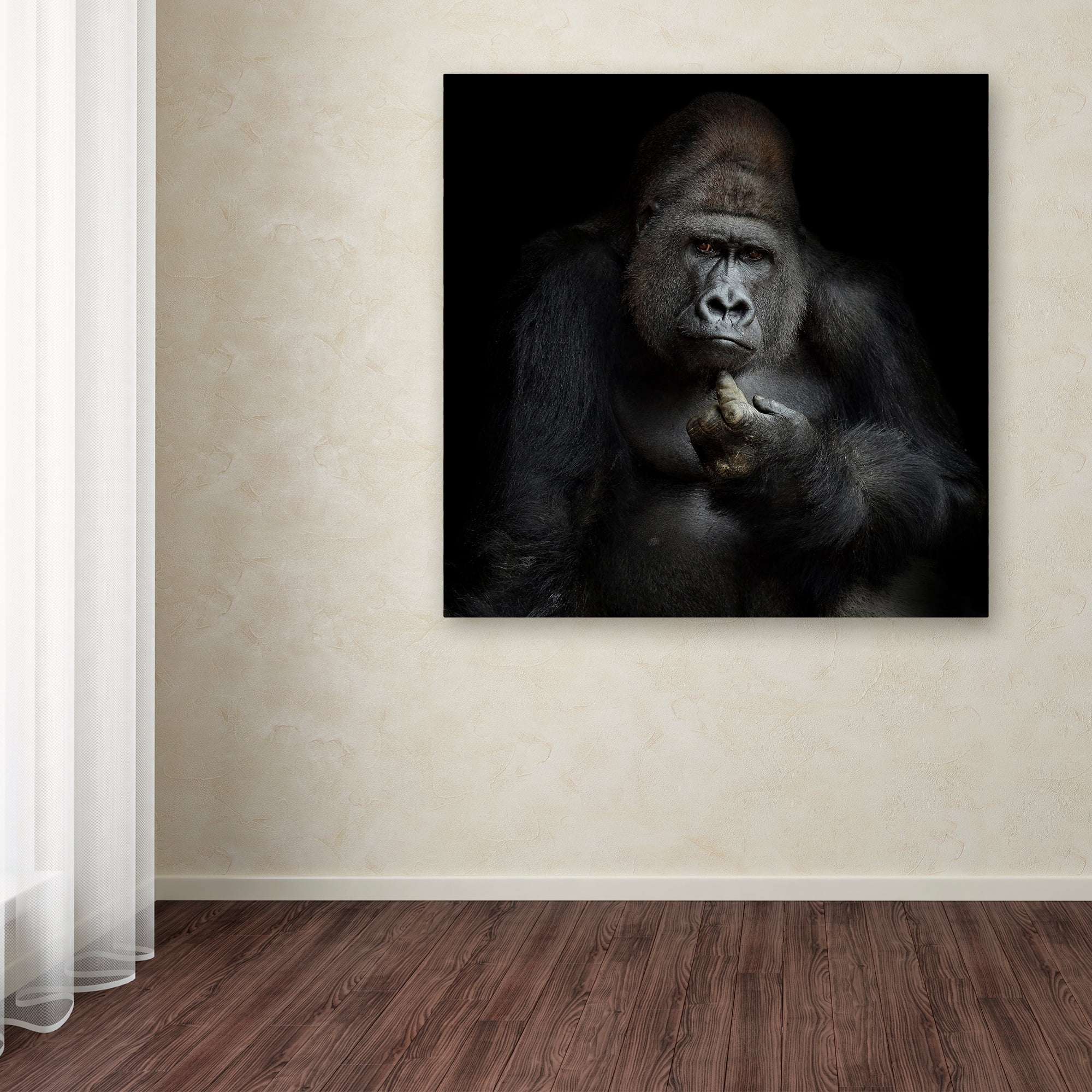 Trademark Fine Art 'Imho' Canvas Art by Antje Wenner-Braun