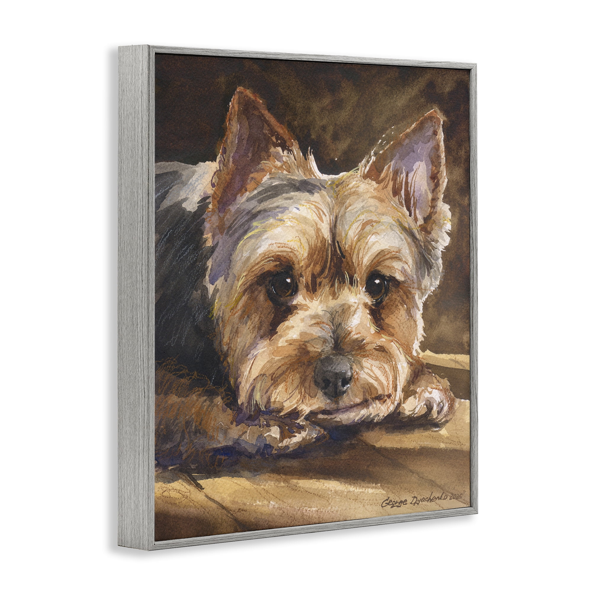 Stupell Industries Yorkshire Terrier Portrait Gray Framed Giclee Art, design by George Dyachenko