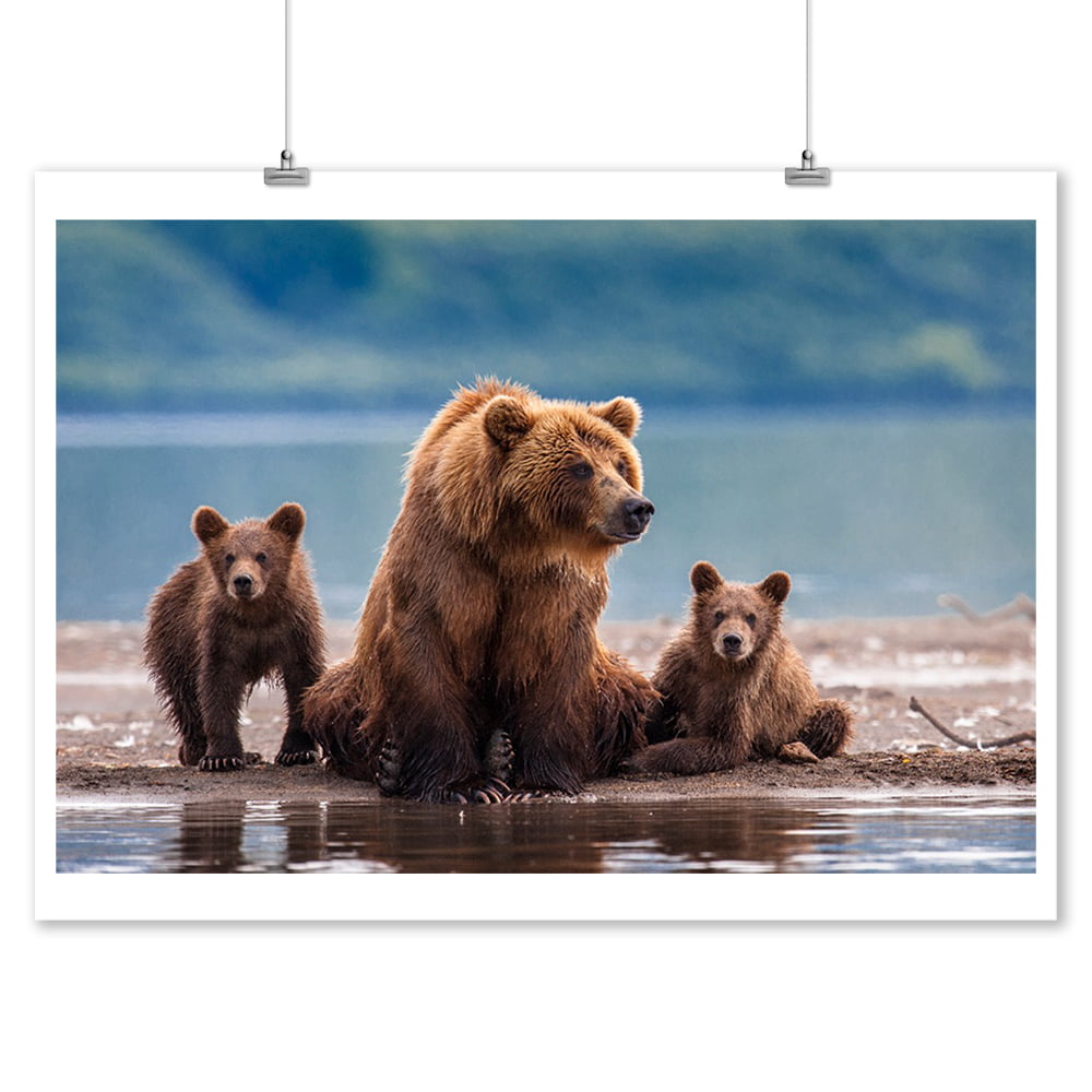 Grizzly Bear Jumping Art Print / Canvas Print Poster Wall Art Home Decor C 
