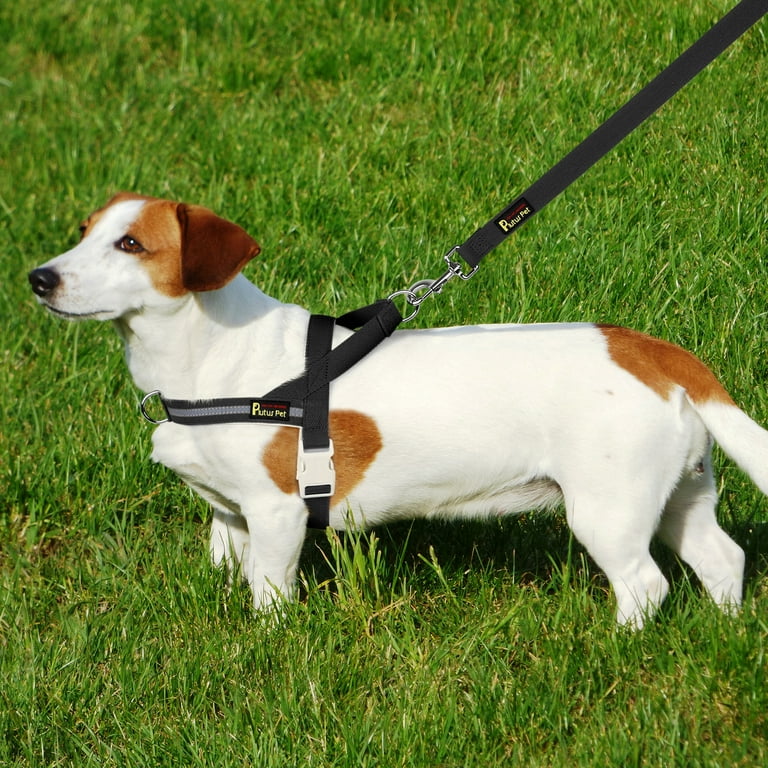 Cotton dog harness hotsell