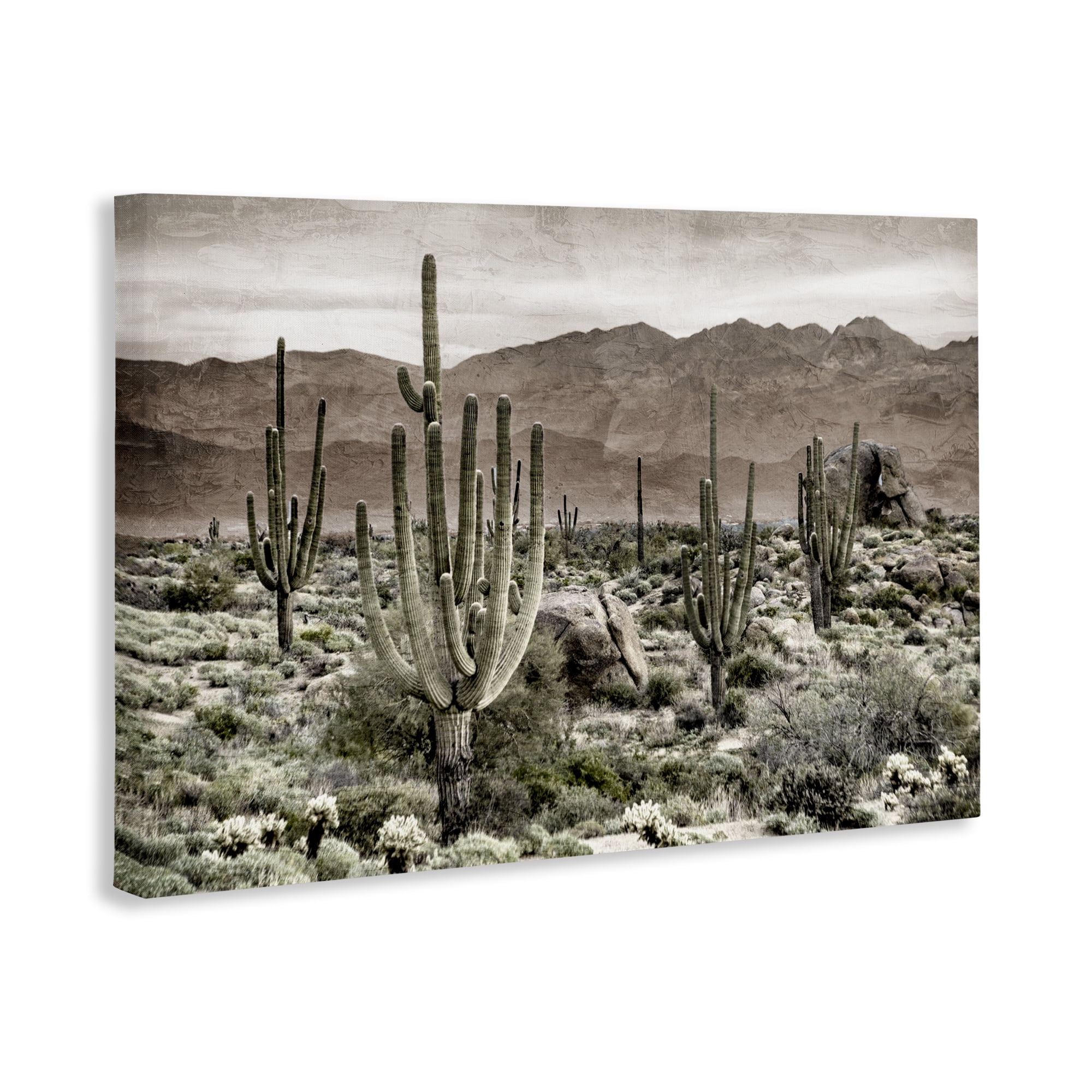 Stupell Industries Desert Land Cacti Wilderness Canvas Wall Art, design by Kim Allen