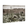 thumbnail image 2 of Stupell Industries Rustic Lodge Desert Land Cacti Wilderness Canvas Art, 24 x 16, by Kim Allen, 2 of 8