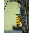 thumbnail image 2 of Wood Link 75530 Steel Corn Trapper Squirrel Feeder, 2 of 2