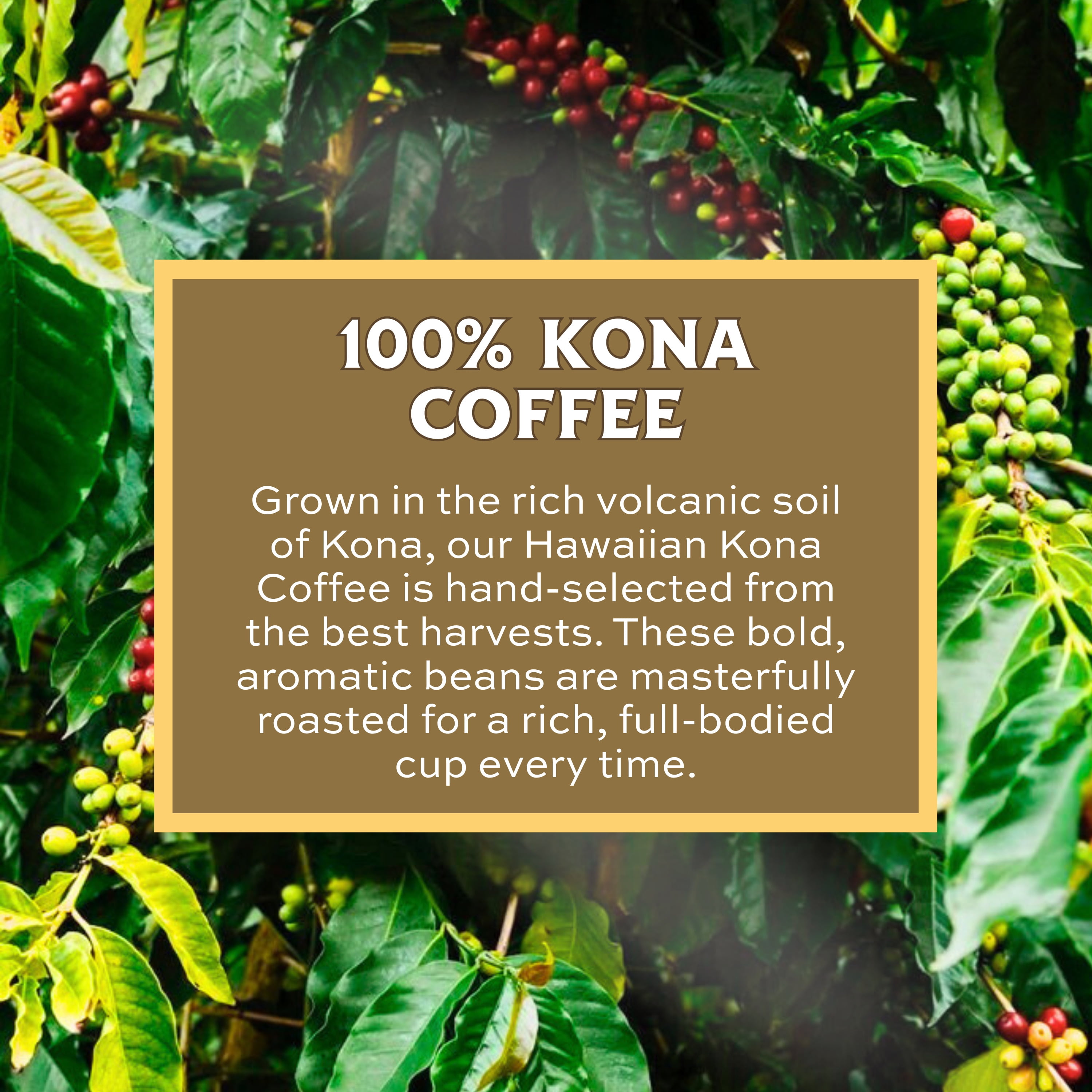 Lion Coffee 24K Gold Roast Ground Coffee, 100% Kona Medium-Light Roast, 7 oz 2-Pack
