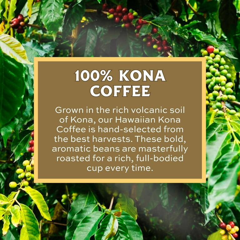 Lion Coffee 24K Gold Roast, 100% Kona Hawaiian Grounds, Medium