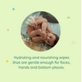 thumbnail image 4 of Babyganics Baby Wipes, Fragrance Free, 240 ct, 4 of 6