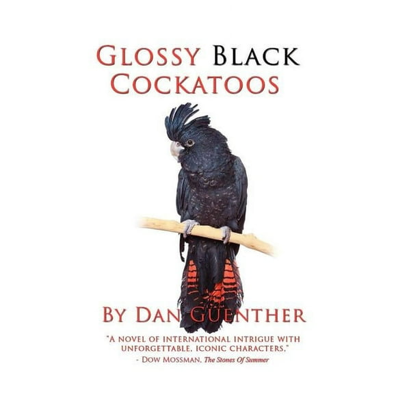 Glossy Black Cockatoos, (Paperback)