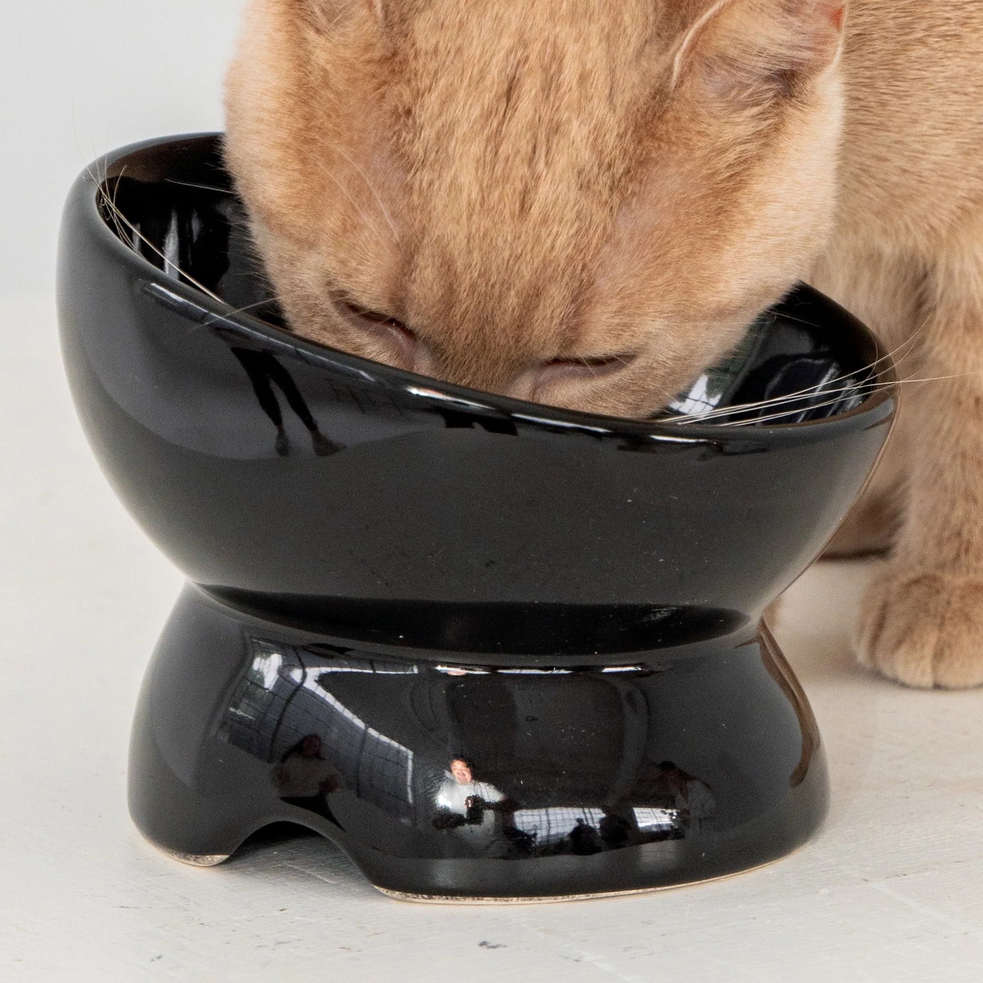 Dexypaws: Elevated Ceramic Cat Bowl - Black - 7oz, Pet Feeding Dish, Meals, Food & Water, Ergonomic Height, Tilted & Raised, Stylish Glossy Design