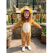 RUINIXCW Toddler Baby Lion/Horse Cosplsy Zip Front Plush Long Sleeve Hooded Jumpsuit