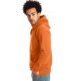 thumbnail image 2 of Hanes pour Hommes ComfortBlend EcoSmart Chandail à Capuchon en Molleton, S, Noir, 2 of 4