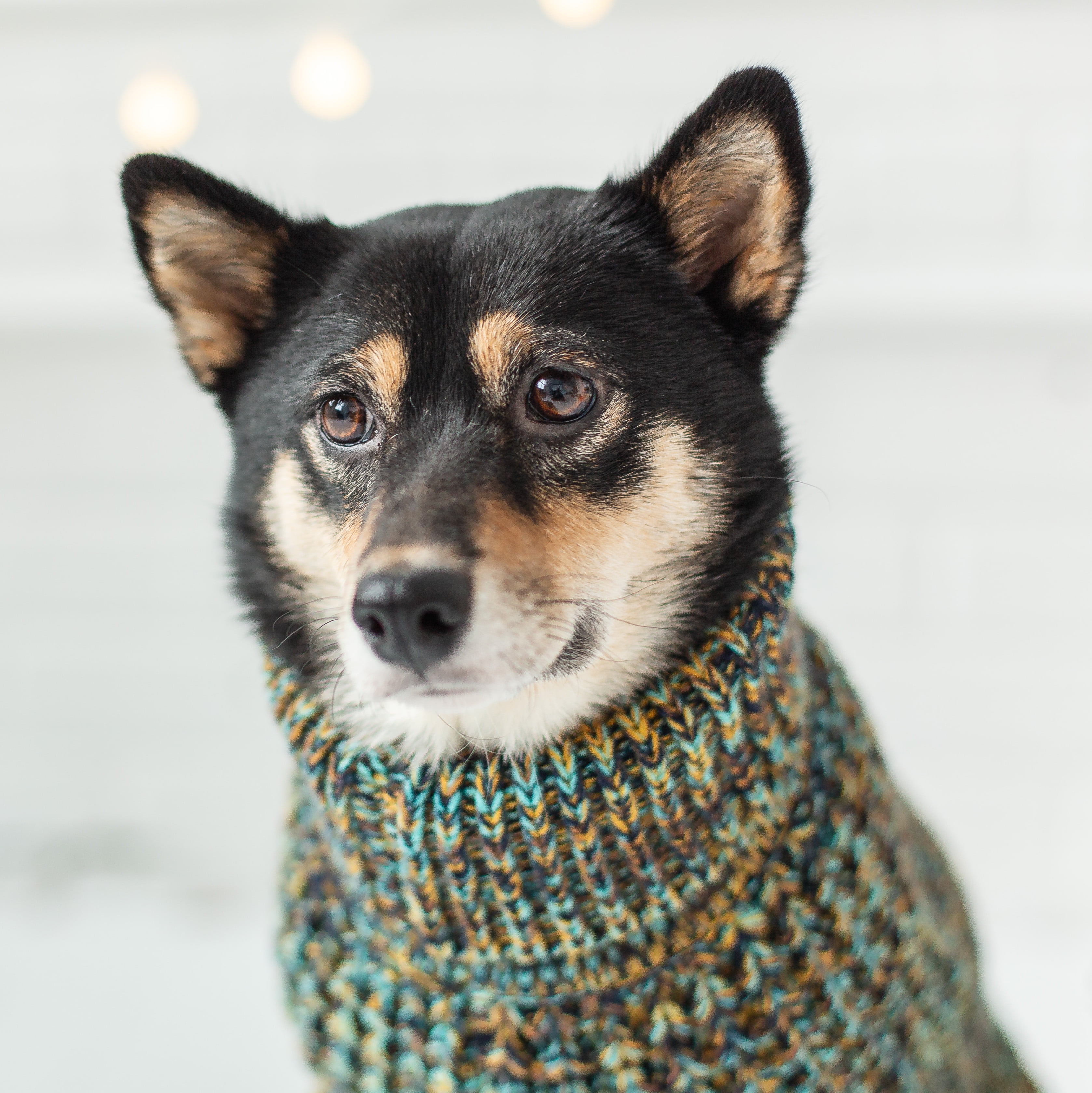 GF PET Scout Dog Sweater Apparel for Small Medium Large Dogs Pets, Navy, XS