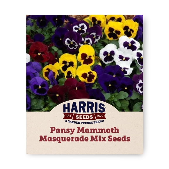 Harris Seeds Mammoth Masquerade Mix F1 Pansy, Jumbo Blotched Flowers, 250 Count