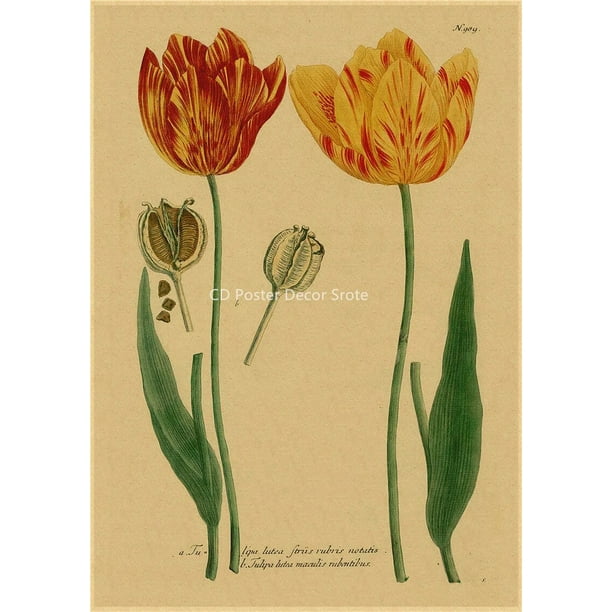 Póster de ilustración botánica, carteles de Papel Kraft de hojas de plantas y flores, decoración Vintage para el hogar, habitación, Bar, cafetería, arte estético, pintura de pared