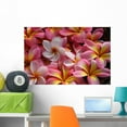 thumbnail image 1 of Pink Plumeria Flowers Wall Mural by Wallmonkeys Peel and Stick Graphic (36 in W x 24 in H) WM46797, 1 of 4