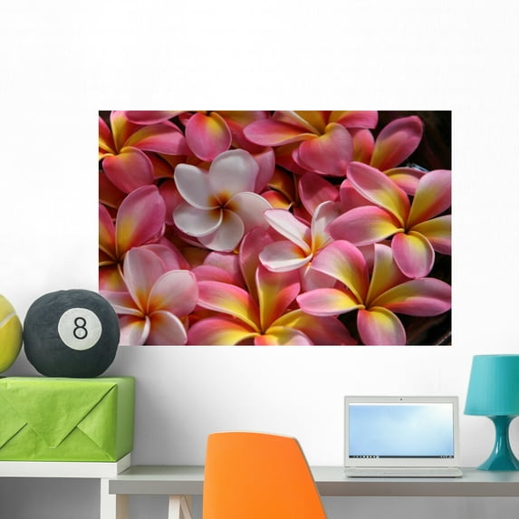 Pink Plumeria Flowers Wall Mural by Wallmonkeys Peel and Stick Graphic (36 in W x 24 in H) WM46797