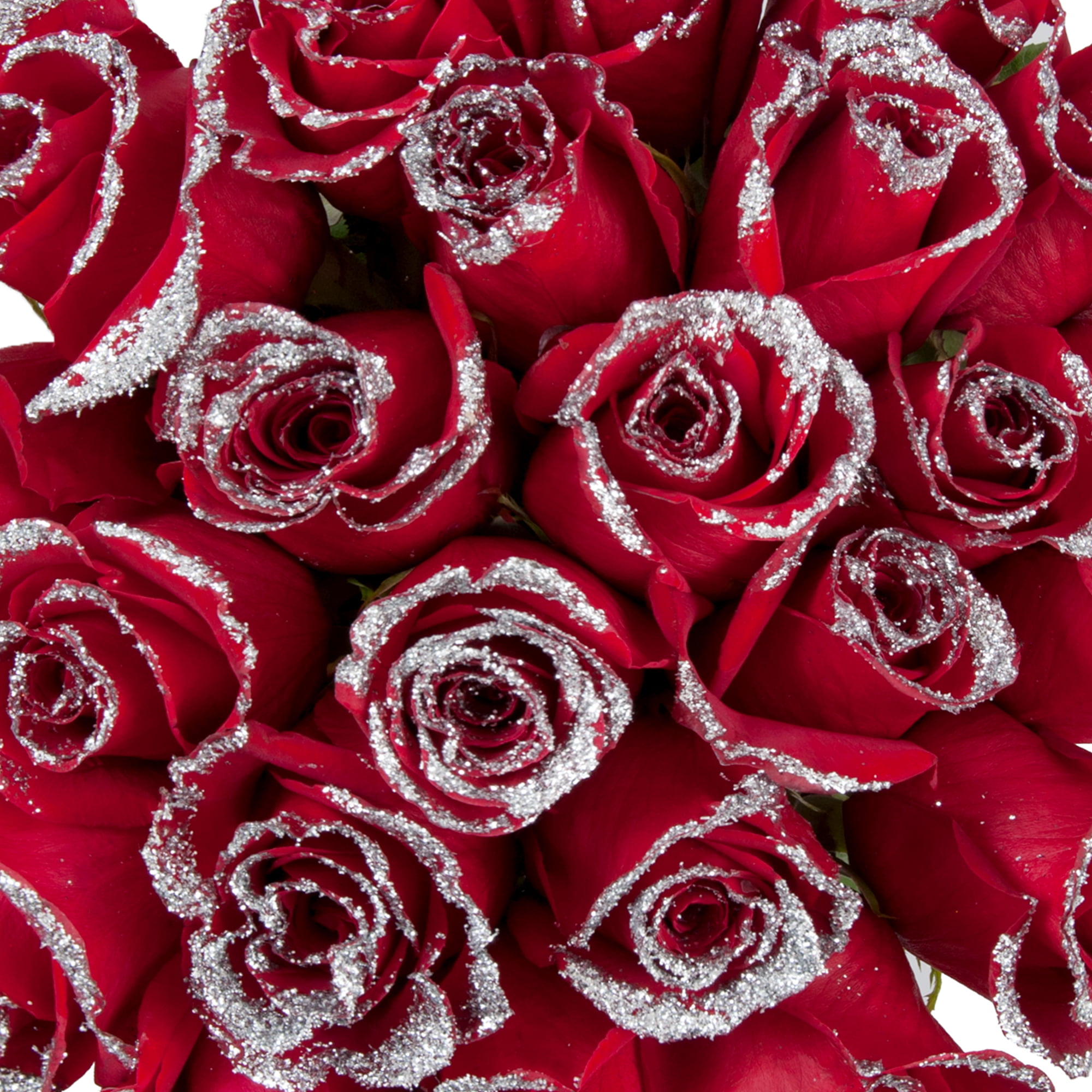 Roses 50 Stems of Red Farm Direct Fresh Cut Flowers with Hand Painted  Silver Glitter on the Bloom Tips by Bloomingmore 