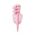thumbnail image 2 of Pet Dinosaur Costume, Soft Plush Pink T-Rex Skeleton Halloween Costume for Dogs in Size M | Cosplay Clothes for Medium & Large Dogs and Cats Funny Adorable Dino Outfits, Pink, 2 of 6