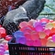 thumbnail image 3 of Paquete de 500 globos de agua con kits de recarga rápida, globos de bomba de agua de látex ecológicos para niños y adultos Juegos de lucha de agua - Piscina Fiesta al aire libre Verano Splash Diversió JFHHH pequeña, 3 of 5