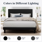 SHA CERLIN Black Queen Size Upholstered Platform Bed Frame with Adjustable Channel Velvet Headboard