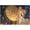 500 PCS, variant on 1000 Piece Angel Fairy Colorful Female Angel Scene Puzzle for Adults, 30x20 in – DIY Family Game, Challenging, Interactive Home Decor