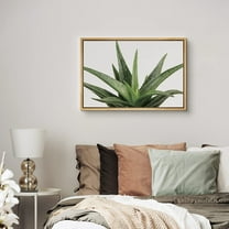 PixonSign Framed Canvas Print Wall Art Green Aloe Vera Succulent Botanical Wilderness Photography Realism Contemporary Portrait Colorful Cool for Living Room, Bedroom, Office - 16"x24" Natural