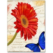Trademark Fine Art "Gerbera Daisy" Canvas Art by Color Bakery