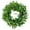 Green, variant on Ludlz Front Door Wreaths, Artificial Spring Summer Greenery Hanging Garland for Home Wedding Window Wall Decoration Realistic Artificial Buxus Sinica Wreath Garland Home Decor Headwear