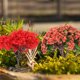 thumbnail image 4 of Luxshiny 1Pqt Planta Decorativa Simulada Roja Para Embellecer Espacios Interiores, 4 of 6