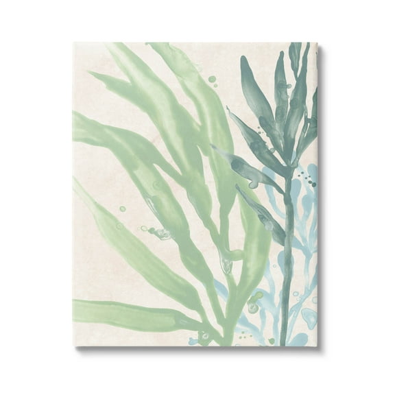 Stupell Industries Flowing Seaweed Underwater Plant Graphic Art Gallery Wrapped Canvas Print Wall Art, Design by June Erica Vess