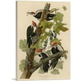 thumbnail image 1 of ARTCANVAS Pileated Woodpecker Canvas Art Print by John James Audubon - Size: 60" x 40" (1.50" Deep) (3-Piece), 1 of 9