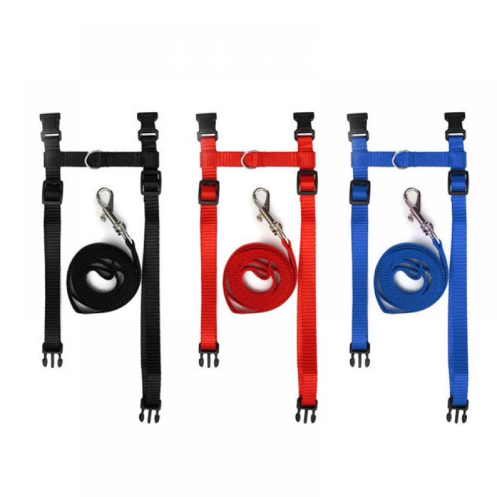 Cat Harness with Leash Kitty Harness and Bungee Leash Adjustable Safe