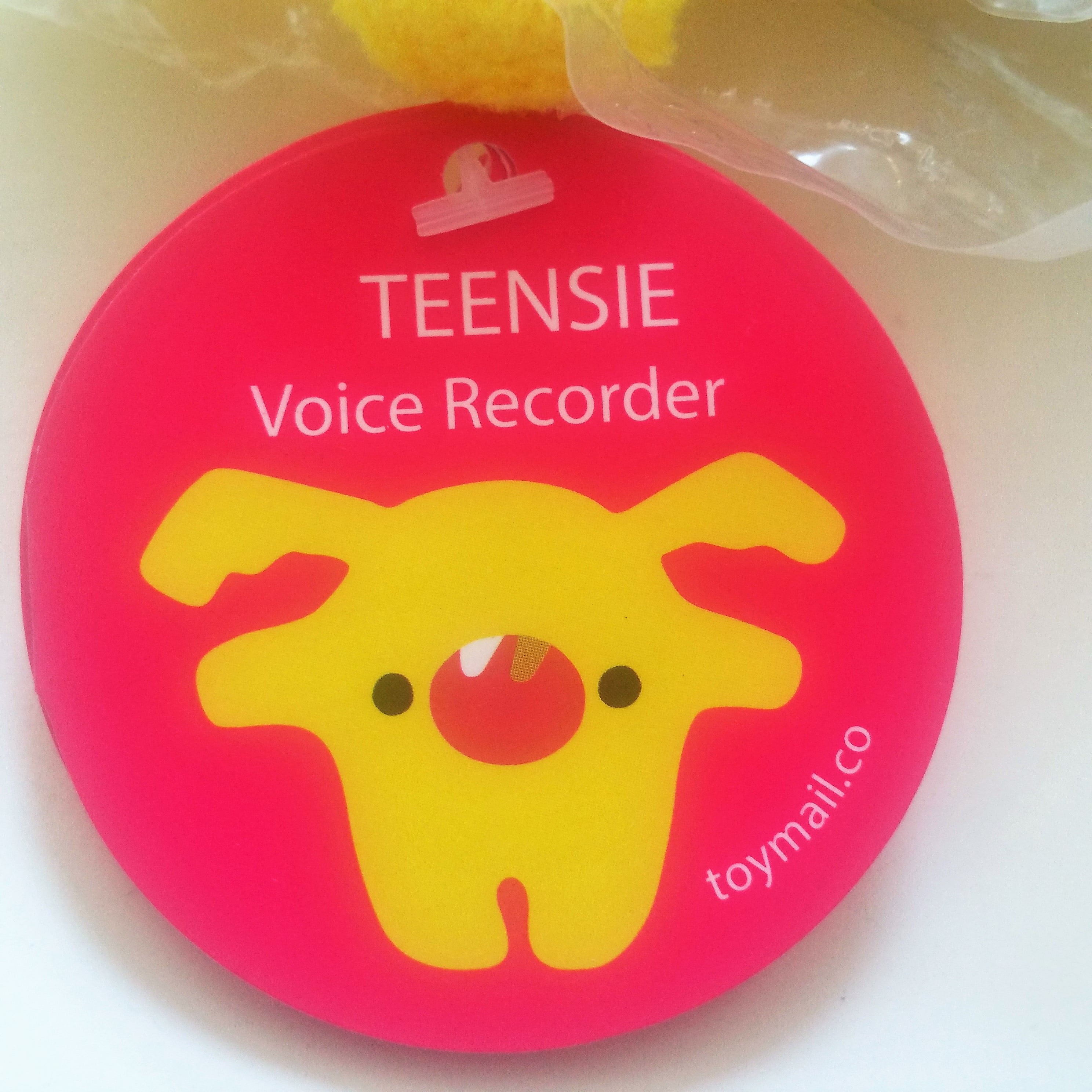 voice recordee toy voice recordee toy