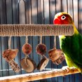 thumbnail image 3 of MIANGASTORE Bird Cage Perch Wood Parrot Perch Toy Bird Standing Stick Parrot Cage Accessory, 3 of 7
