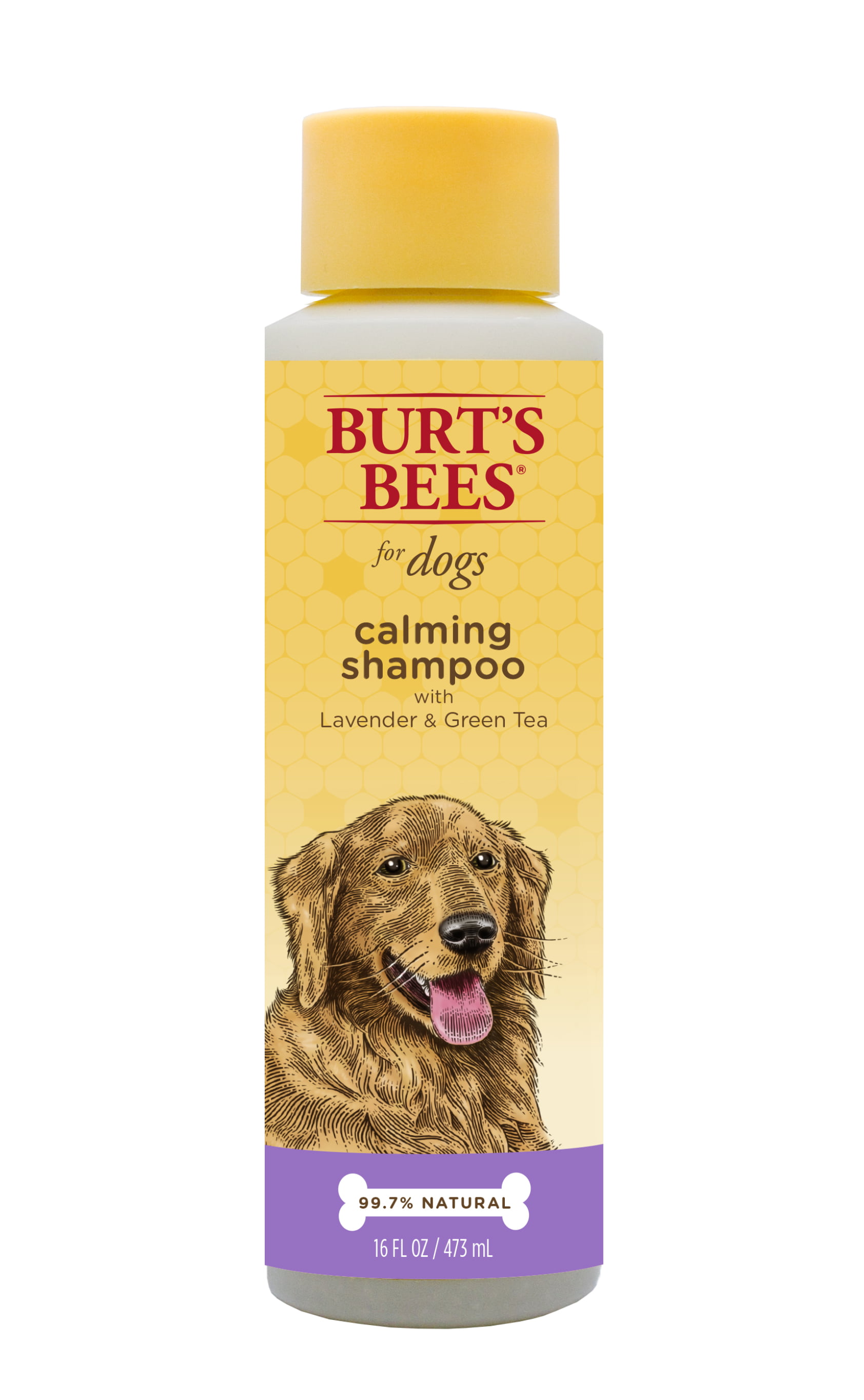 vibrant life dog shampoo