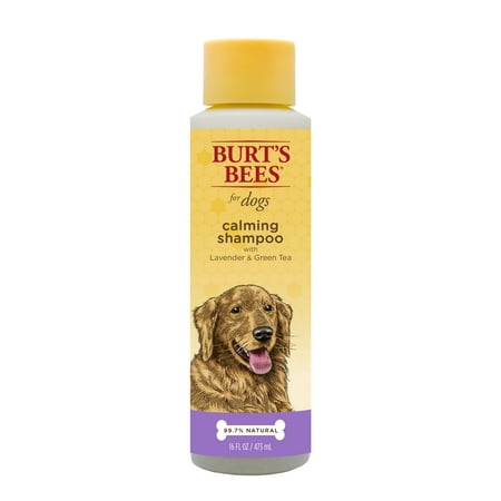 Burt's Bees Natural Calming Dog Shampoo with Lavender and Green Tea, 16