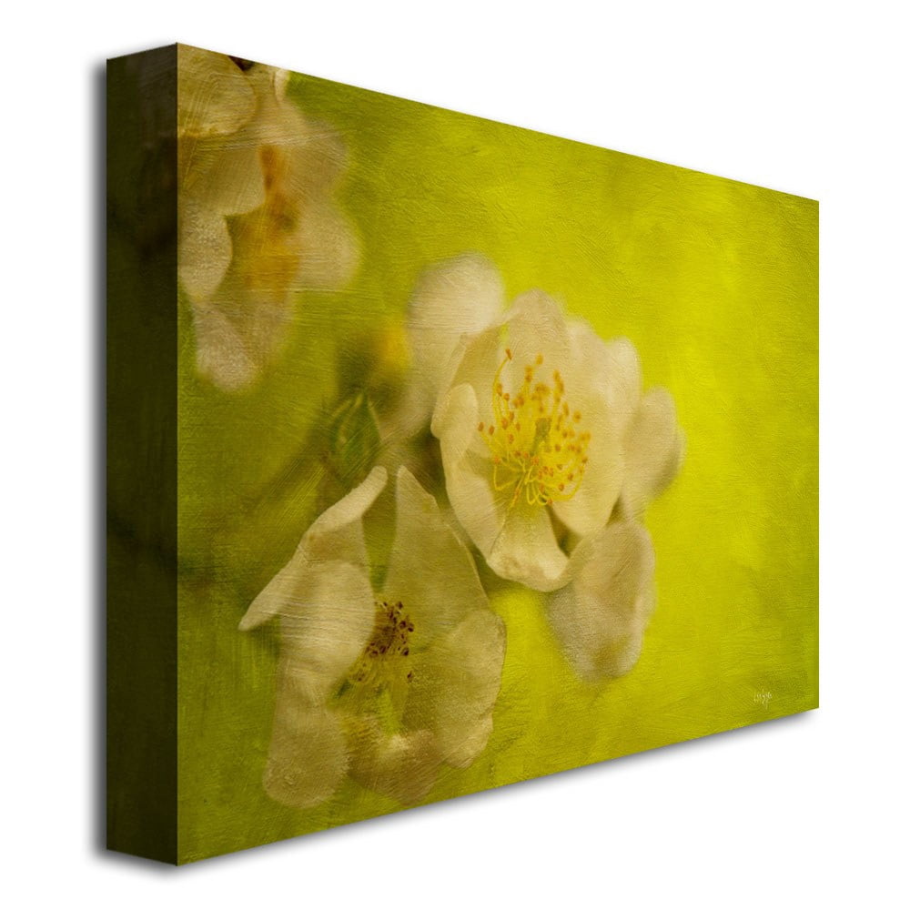 Trademark Fine Art "Sunrise II" Canvas Wall Art by Lois Bryan