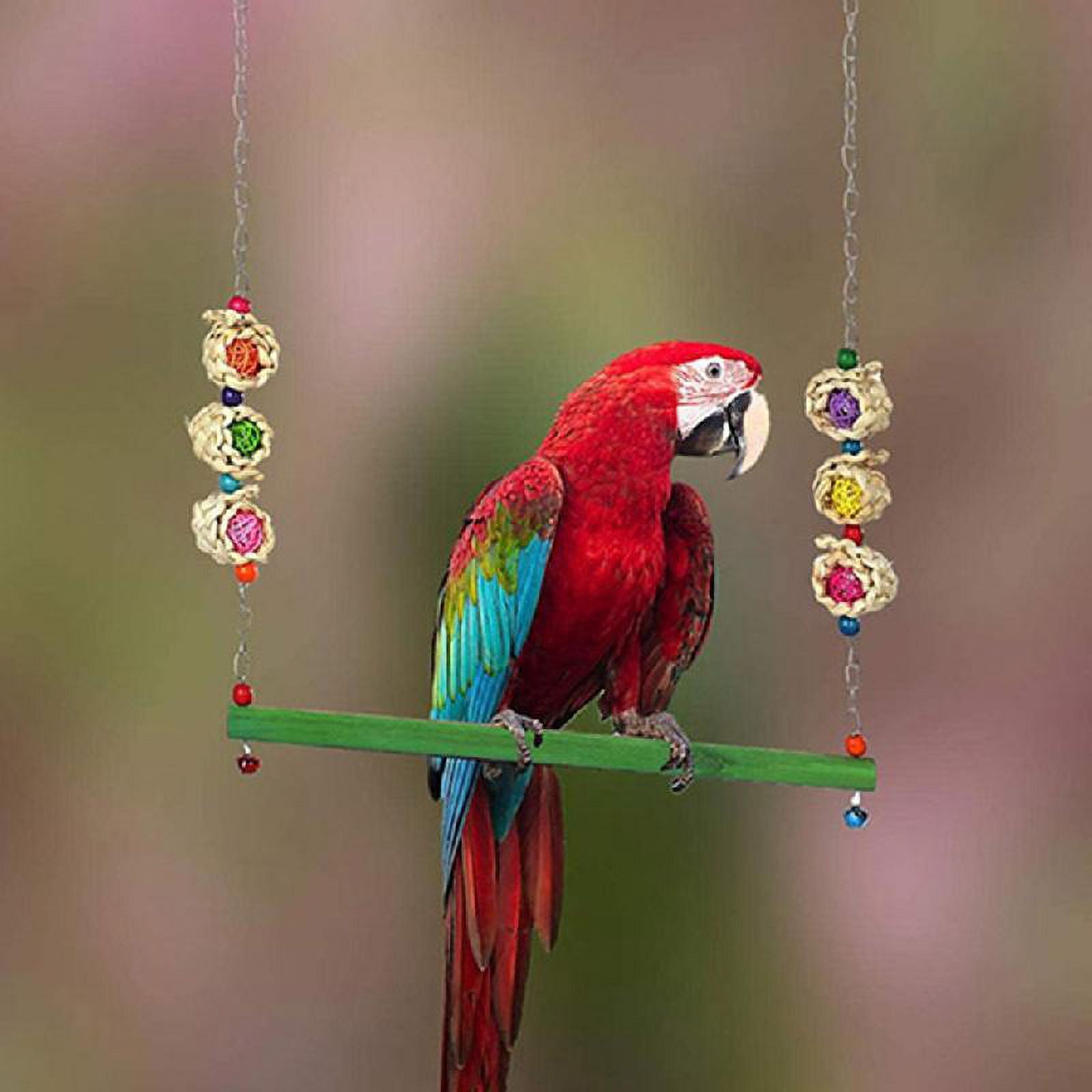 4Pcs Chicken Toys for Hens Large Birds Swing Toys Colorful Ladder and Perch Metal Vegetable Feeders Hanging for Coop