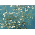 thumbnail image 3 of wall26 - Teal Almond Blossom by Vincent Van Gogh - Wall Mural, Removable Sticker, Home Decor - 66x96 inches, 3 of 5