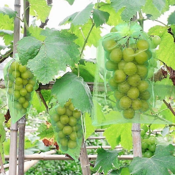 50 pcs Grape Protection Bags, 30X20cm, Organza Bags, Fruit Protection Bags, Insect Netting, Garden Protection and Pest Control (Green)