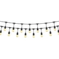 thumbnail image 2 of 48 ft. (14.63 m) Glass Weatherproof LED String Lights by OVE, 2 of 7