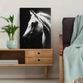 thumbnail image 5 of Qisvanset Majestic White Horse Portrait Canvas Wall Art 15.75x11.81 Inches, 5 of 8