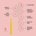 thumbnail image 2 of Bolsius Yellow Taper Candles, 10" European Quality Dripless Unscented Candles, 8 Hour Long Candle Sticks, 4-Pack, 2 of 8